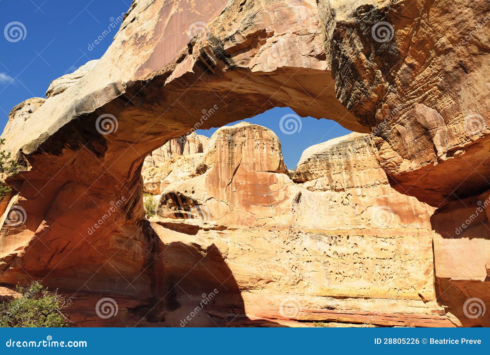Hickman Bridge stock photo. Image of canyon, landmark 28805226