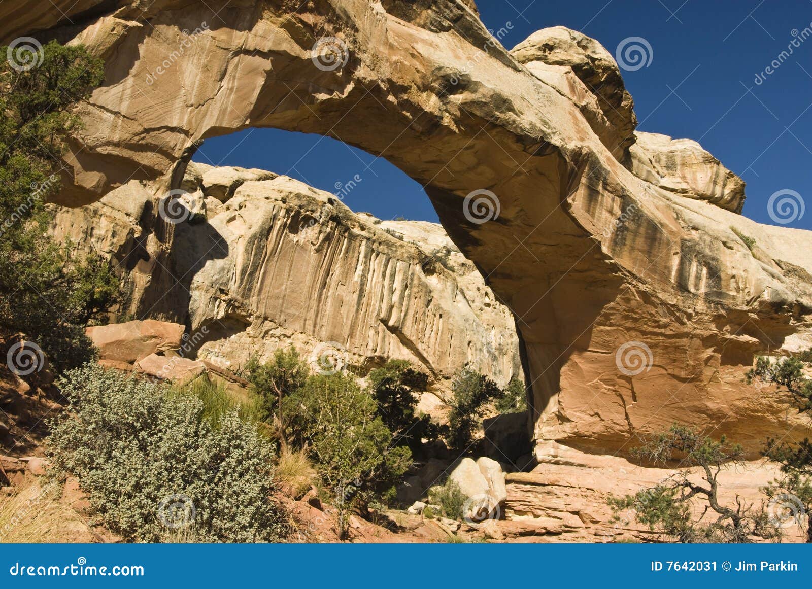Hickman Bridge arch stock image. Image of southwest, canyon 7642031