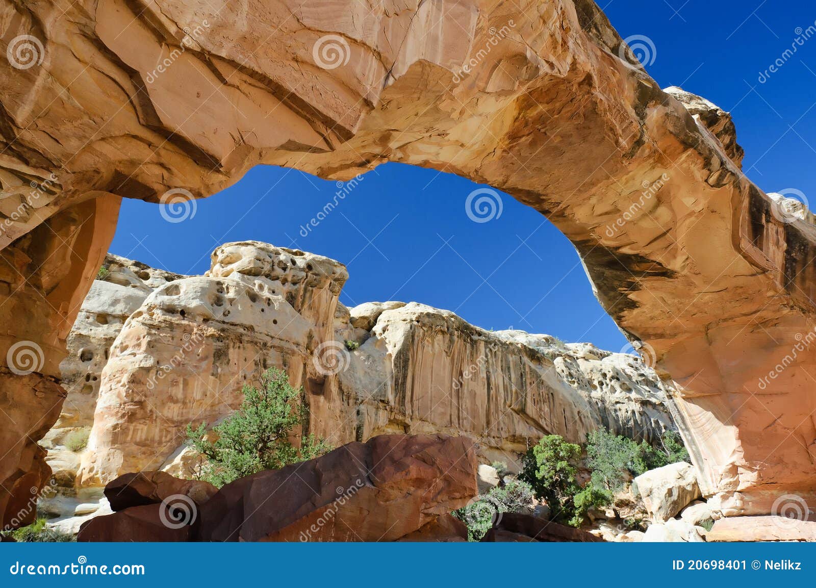 Hickman Bridge Natural Rock Arch Stock Image Image of arch, park