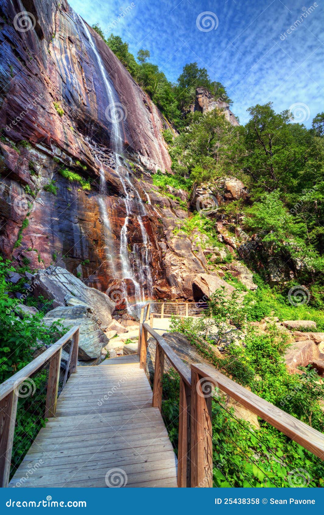 hickory nut falls