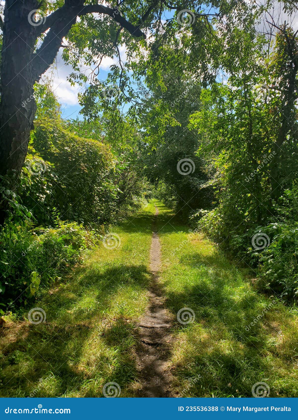 a fairy tale scene in oxford county