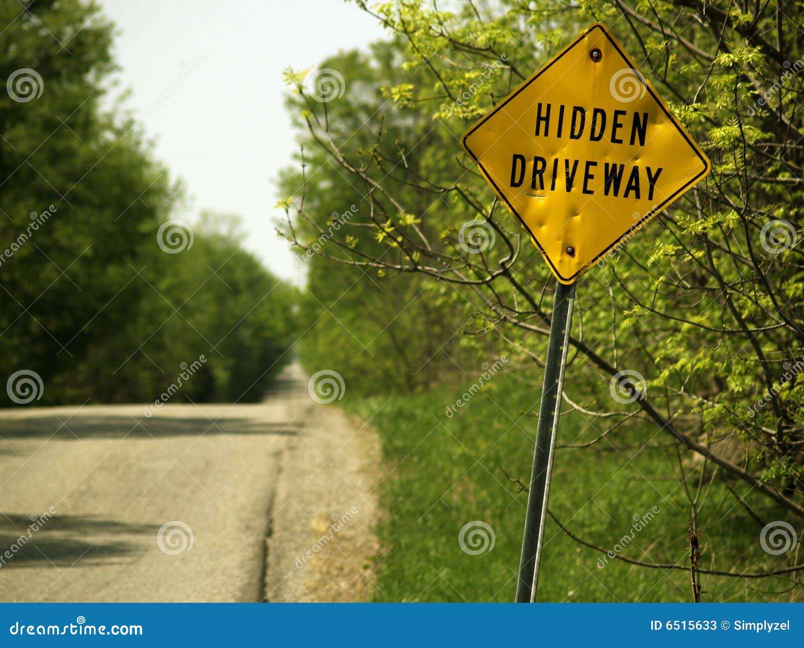 Hidden Driveway Sign Royalty-Free Stock Photography | CartoonDealer.com ...
