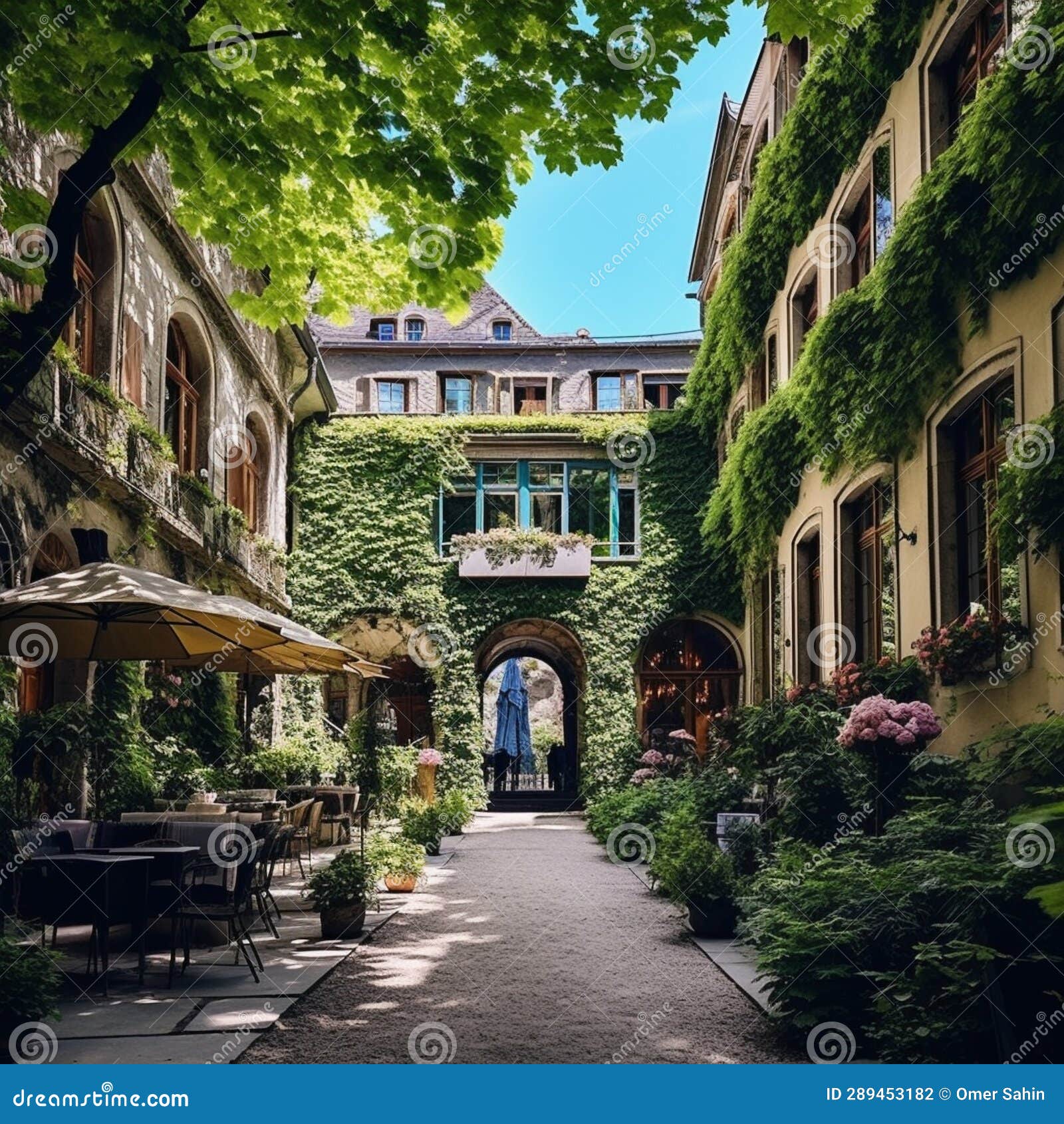 My Image 25