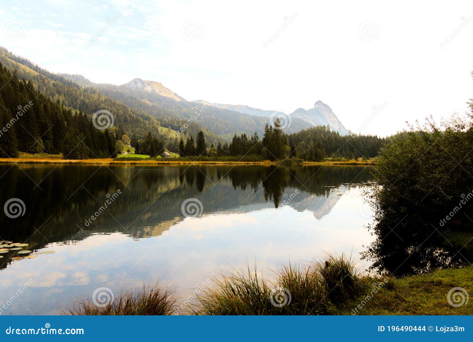 Hidden Lake In Austria Alps Stock Photo Image Of Forests Lake 196490444