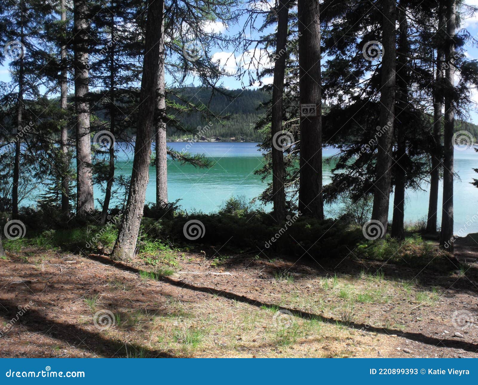 hidden paradise, ashley lake, kalispell,mt