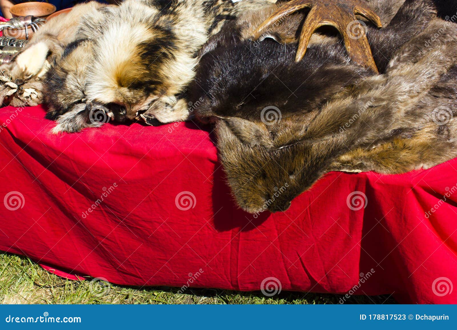 hides of wild animals on the background of red material close-up