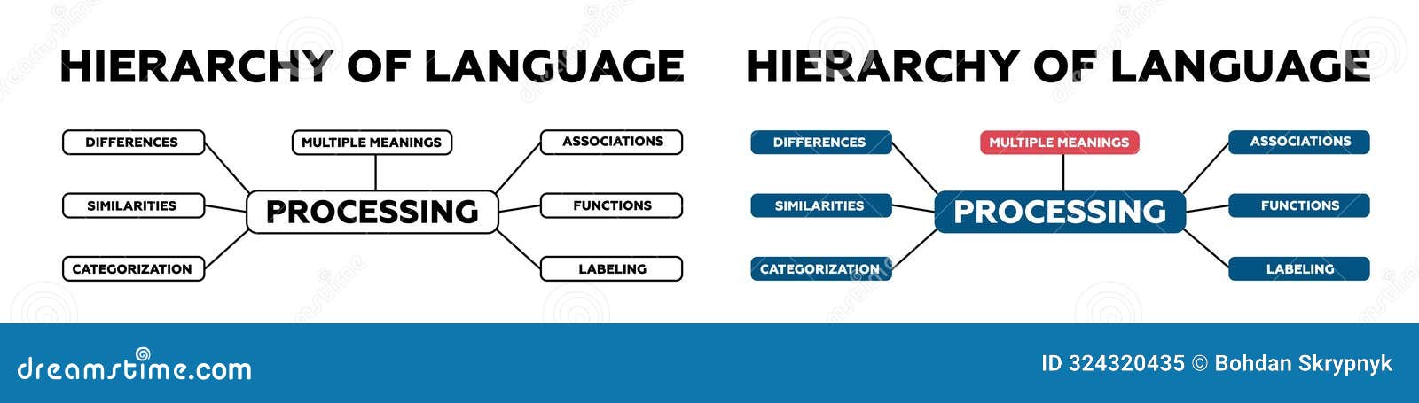 Hierarchy Of Language Diagram. Infographic On Similarities And ...
