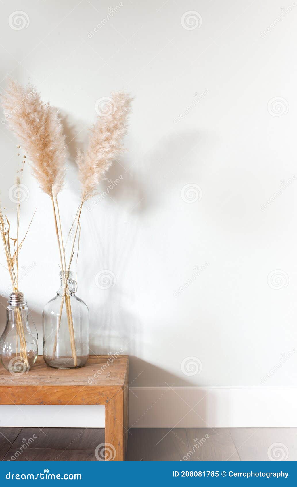 Hierba De Pampas Secas En Florero De Vidrio Sobre Mesa De Madera Cerca De  Fondo Blanco Moderna Decoración Brillante Para El Espaci Imagen de archivo  - Imagen de concepto, flor: 208081785