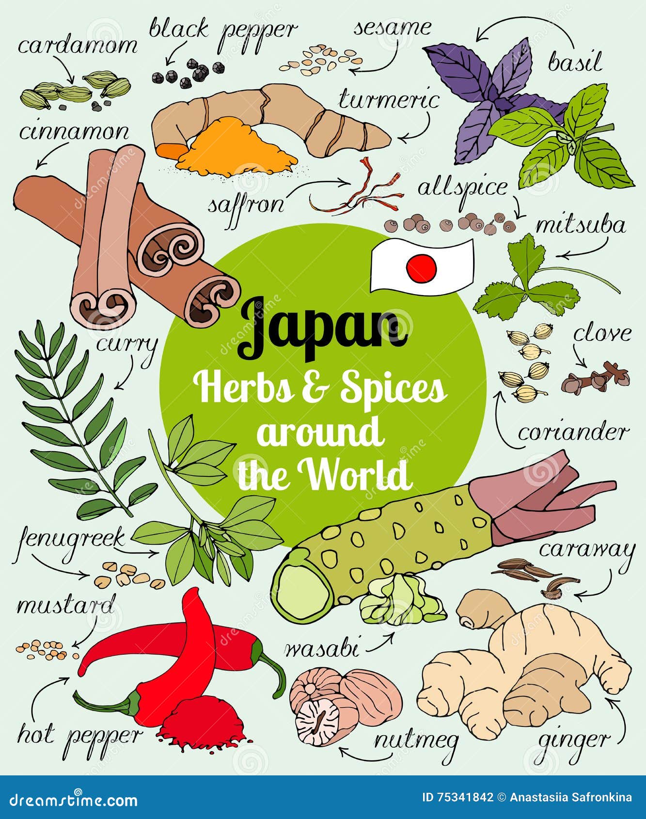 Hierbas Y Especias De Japón Stock de ilustración Ilustración de puro