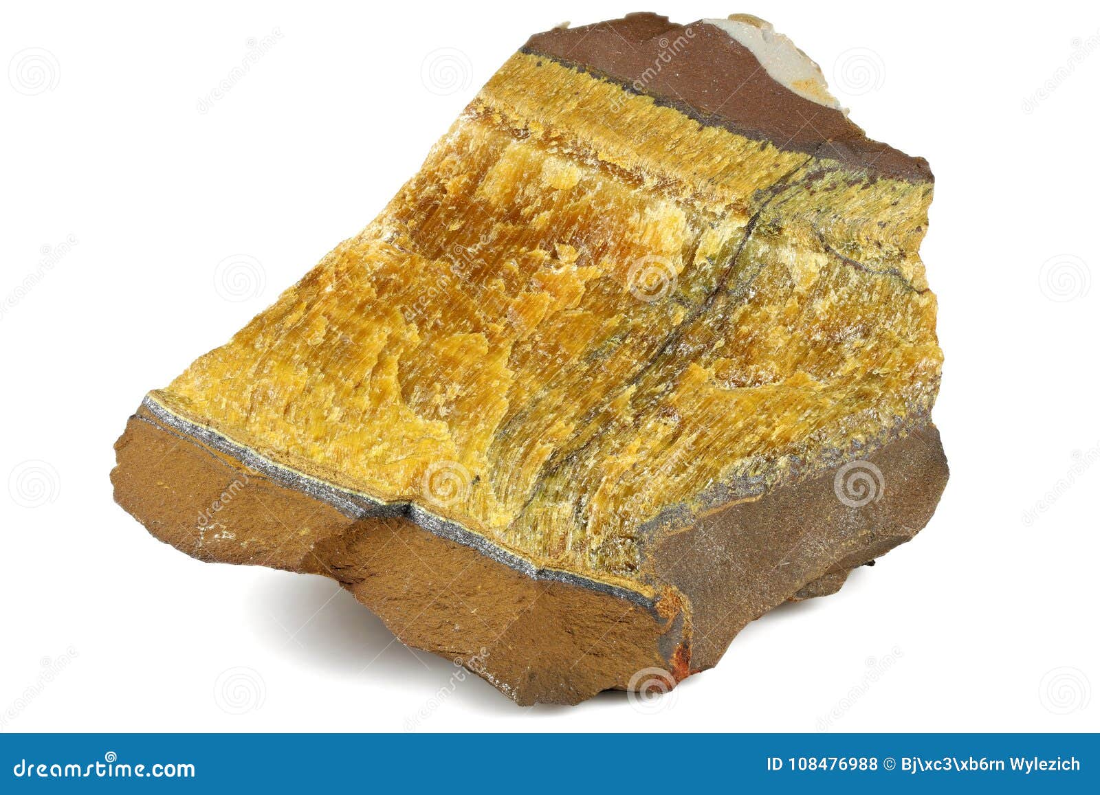 Hierro del tigre foto de archivo. Imagen de tigres, aislado - 108476988