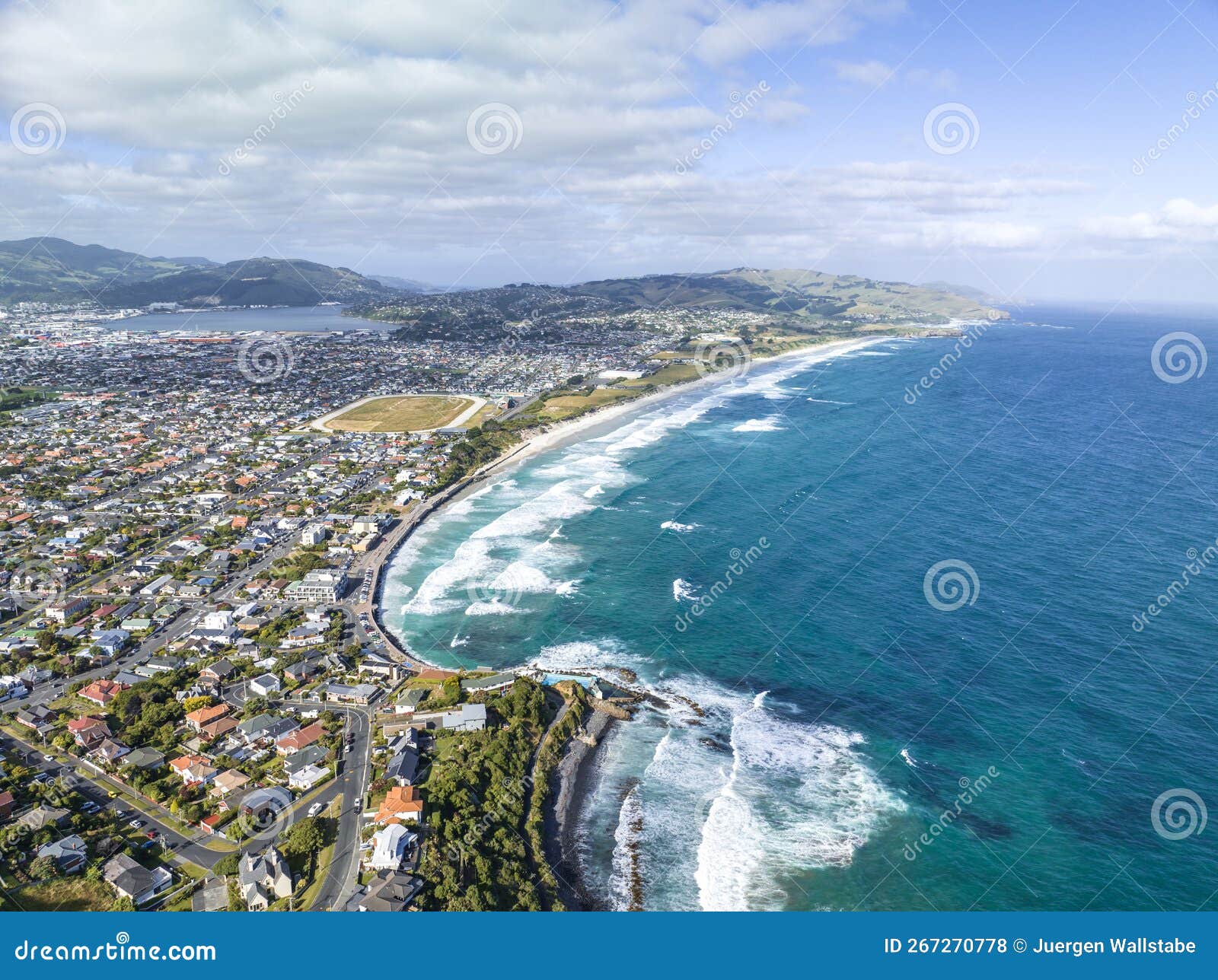 New Zealand Swimming Dunedin Stock Photos Free Royalty Free Stock new-zealand-swimming-dunedin-stock-photos-free-royalty-free-stock