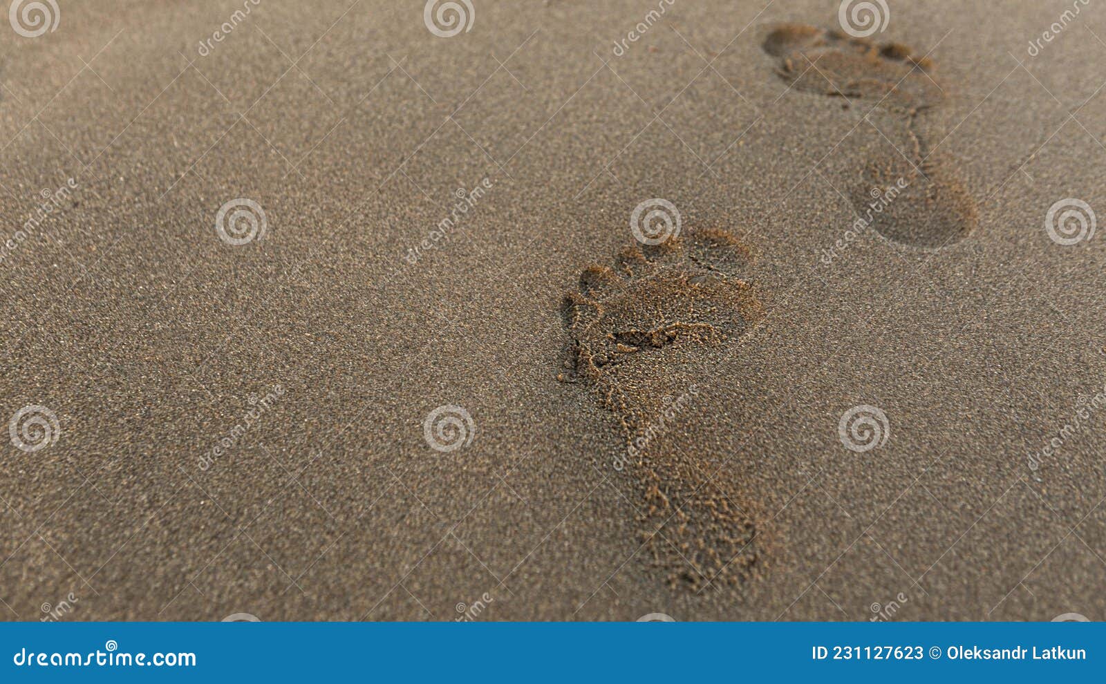 Footprint On Sand Beach Background. Footprint On Wet Beach Sand ...