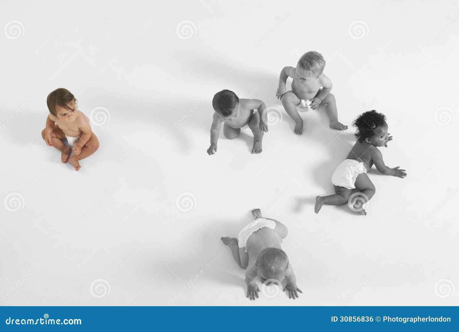 high angle view of baby girl looking at other babies crawling on floor