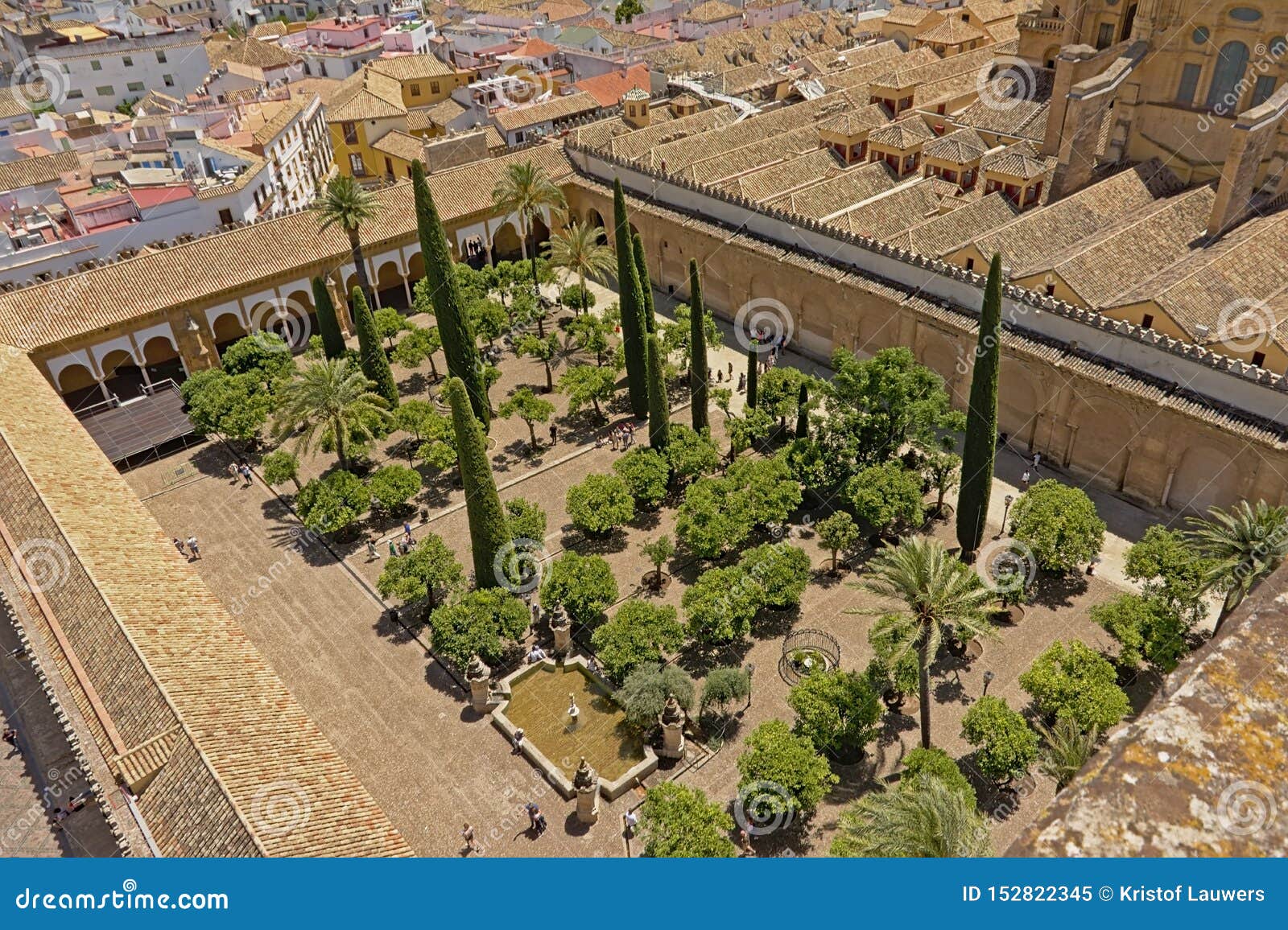 Aerial View On The Patio Of The Orange Trees Of The Cathedral
