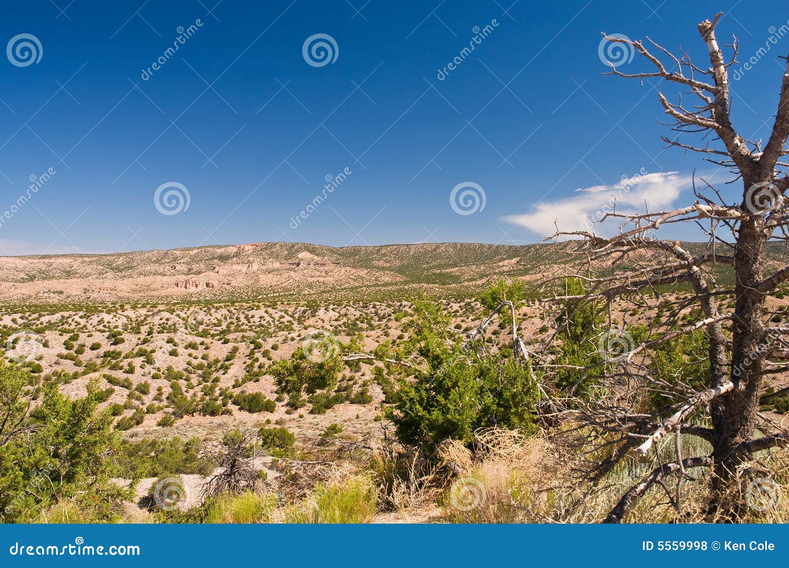 high desert wilderness