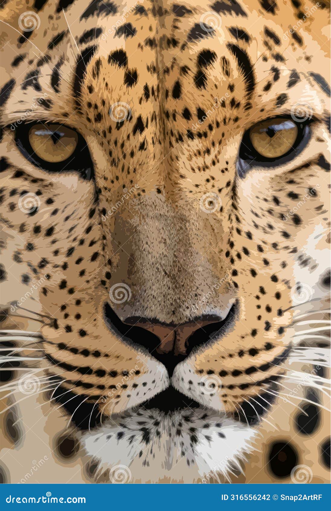 high detailed full color  - captivating wild carnivore close-up  of intense piercing stare of leopard looking at