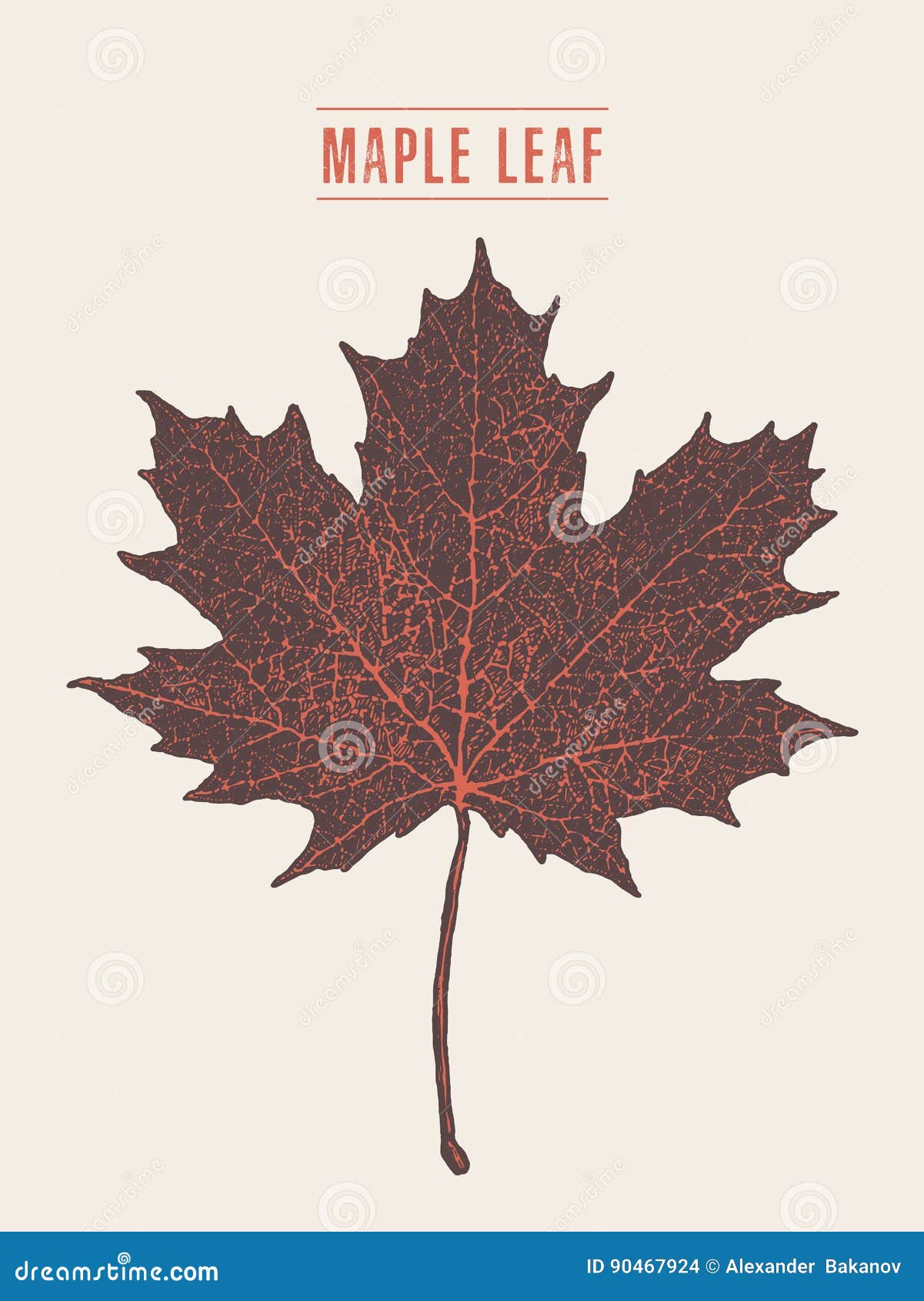 Canada Maple Leaf Outline Images – Browse 5,332 Stock Photos, Vectors, and  Video