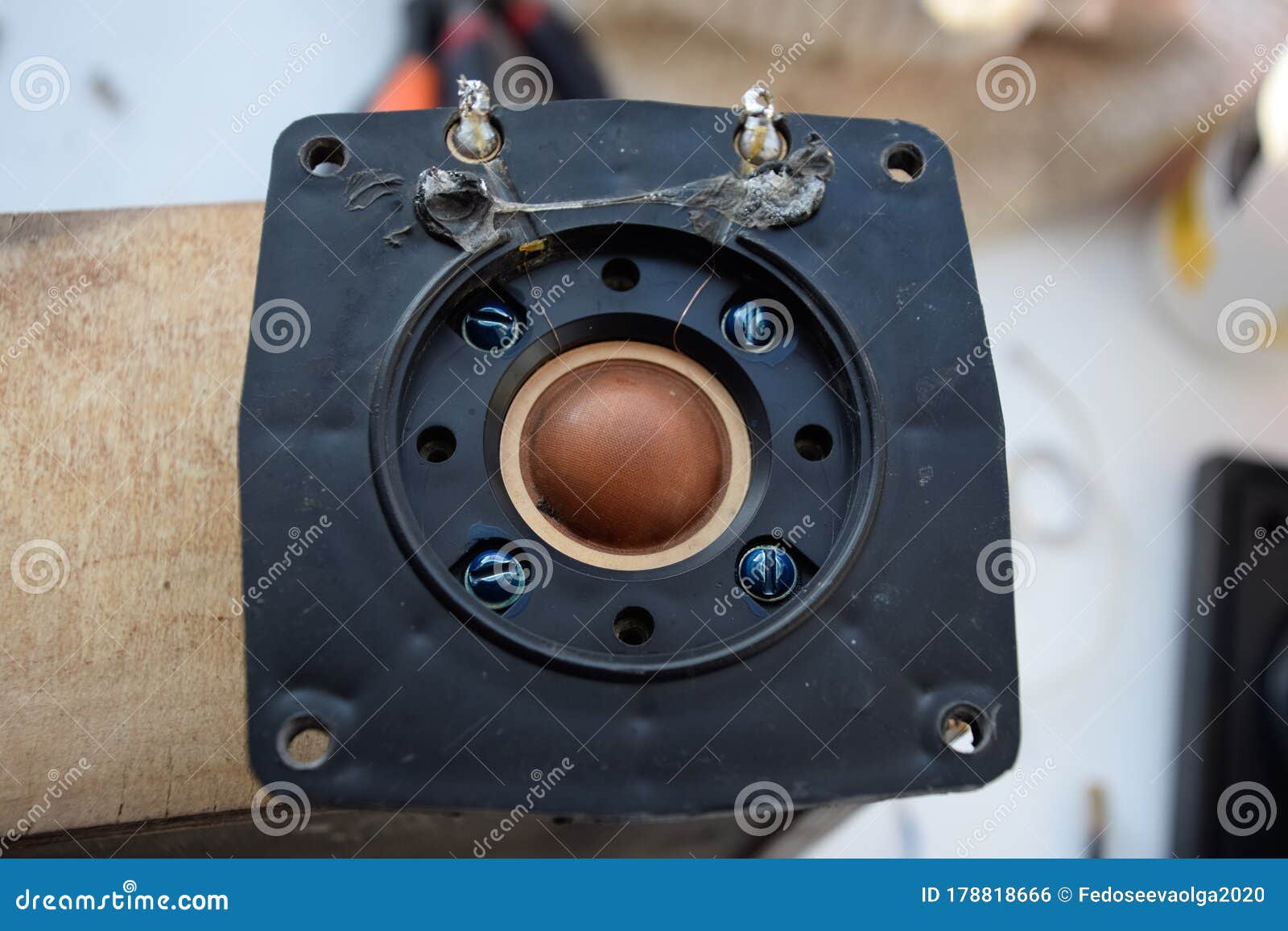 High Frequency Speaker 10gdv2 with a Silk Membrane of the Frequency