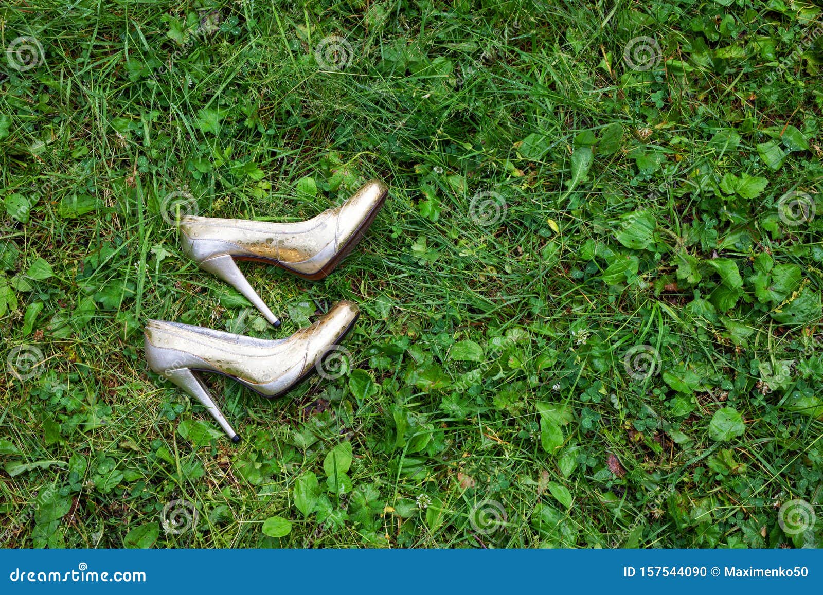 Closeup Shot of High Heels Walking on Green Grass. Stock Footage - Video of  approach, heel: 89520596