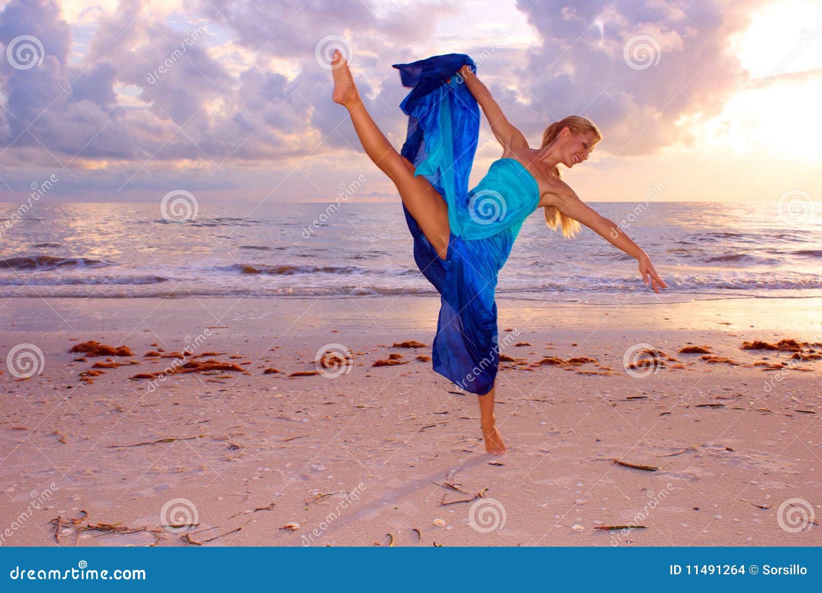 High Kicking Dancer Stock Images Image 11491264