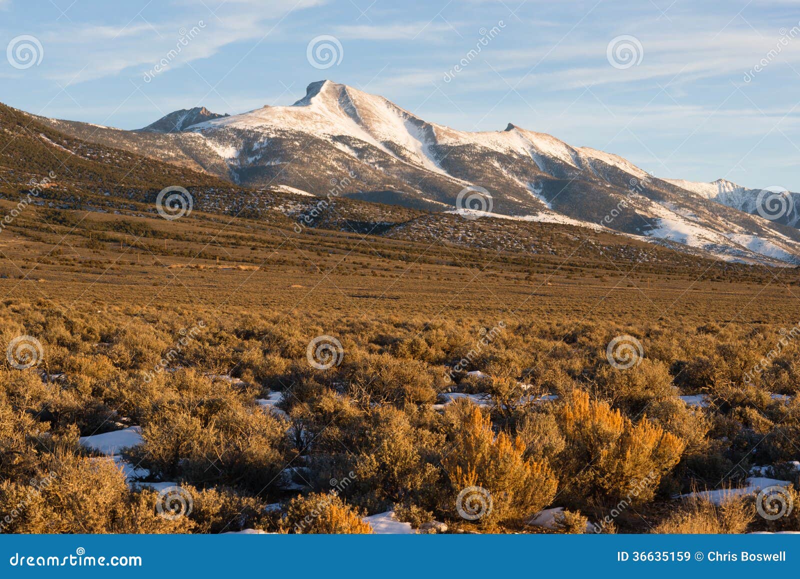 high mountain peak great basin region nevada landscape