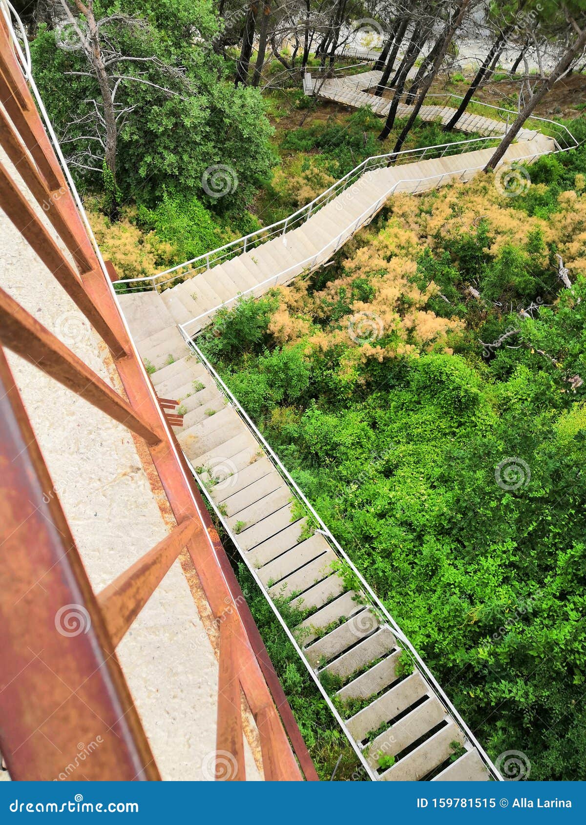 Wooden Steps On A Steep Hillside In The Forest Stock Photo, Picture and  Royalty Free Image. Image 36876055.