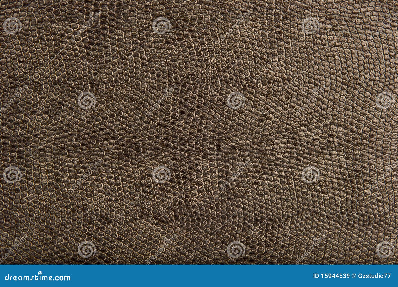 high quality animal reptile skin patten and textur