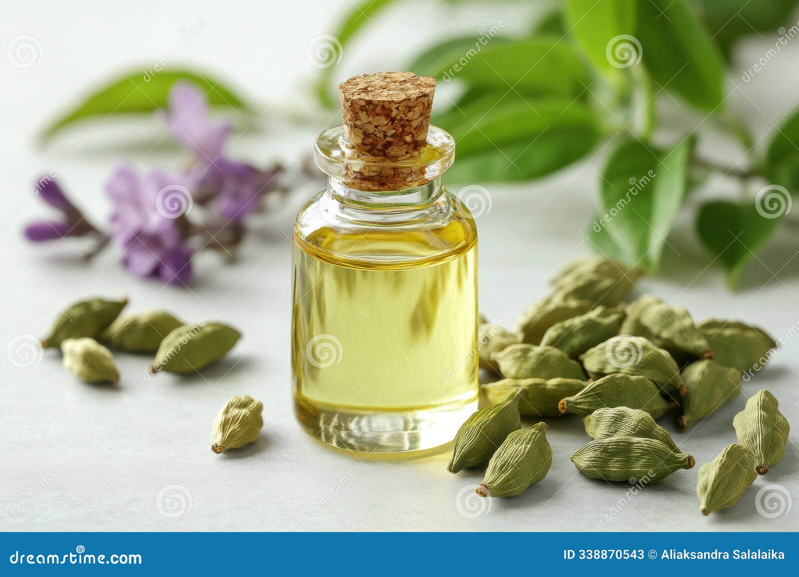 spa banner  featuring green cardamom pods and aromatic oil bottle on white background relaxation concept