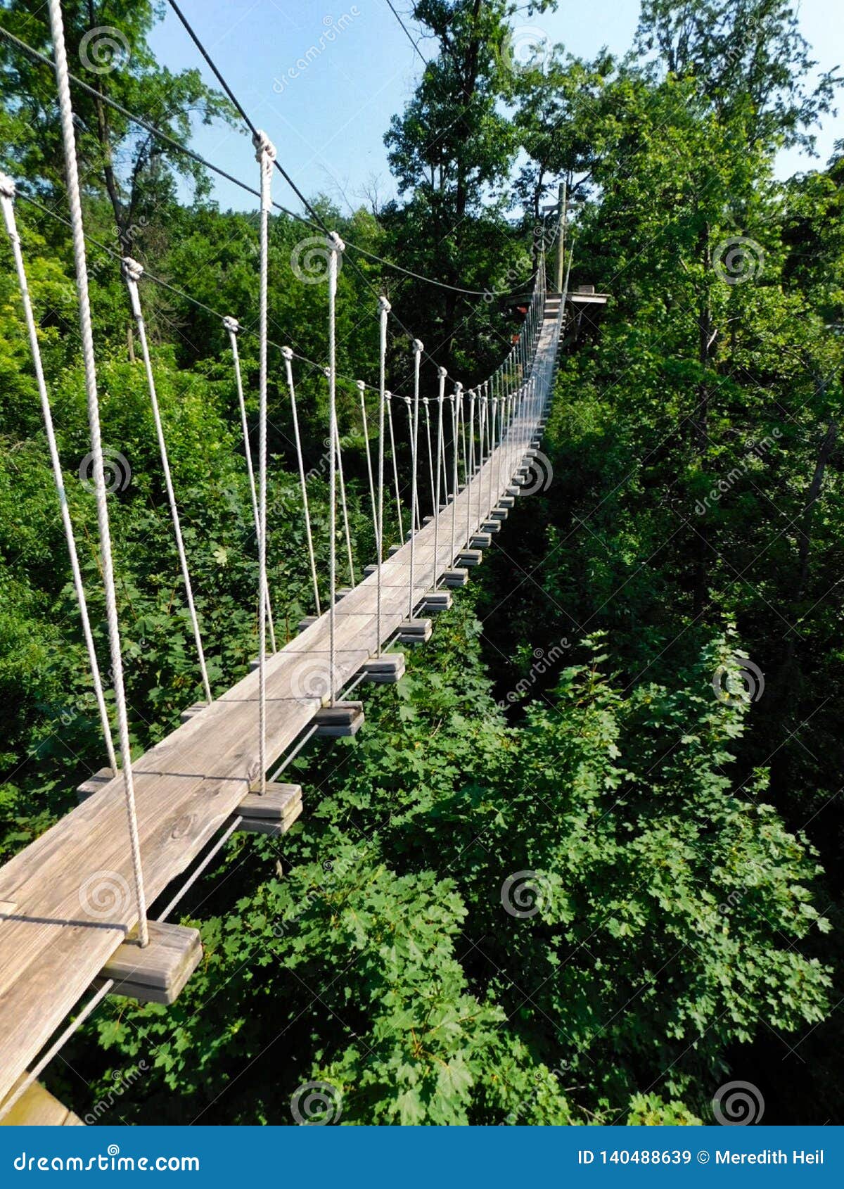 a high rope bridge over the forest floor at refreshing mountain camp