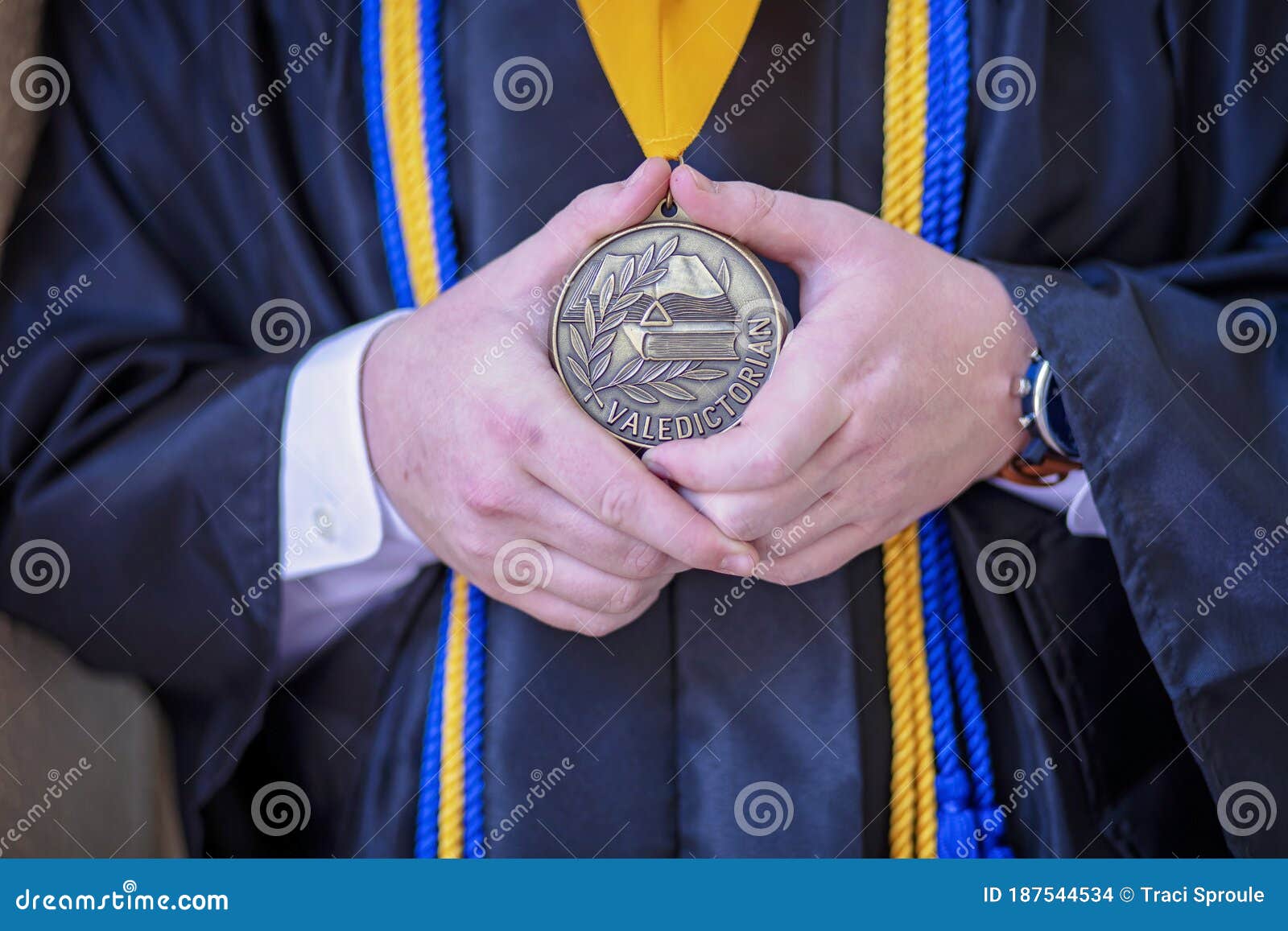 national honours and awards ceremony clipart