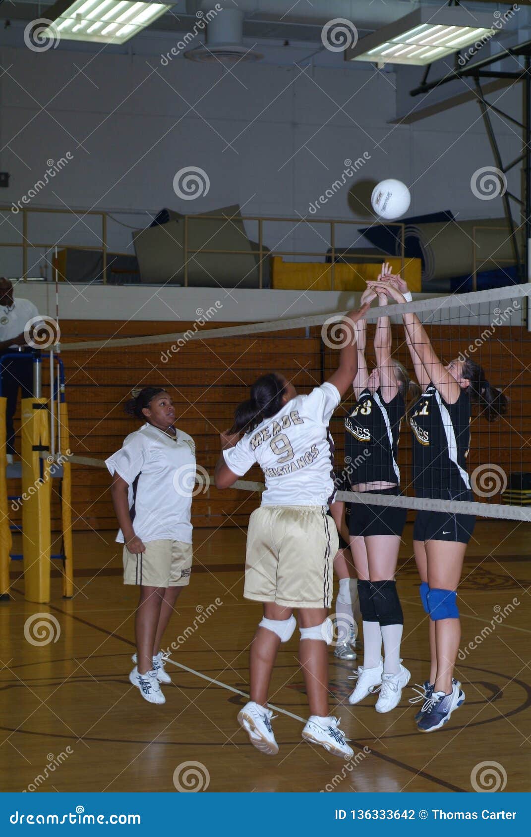 wild teens playing volley balley wild teens playing volley balley