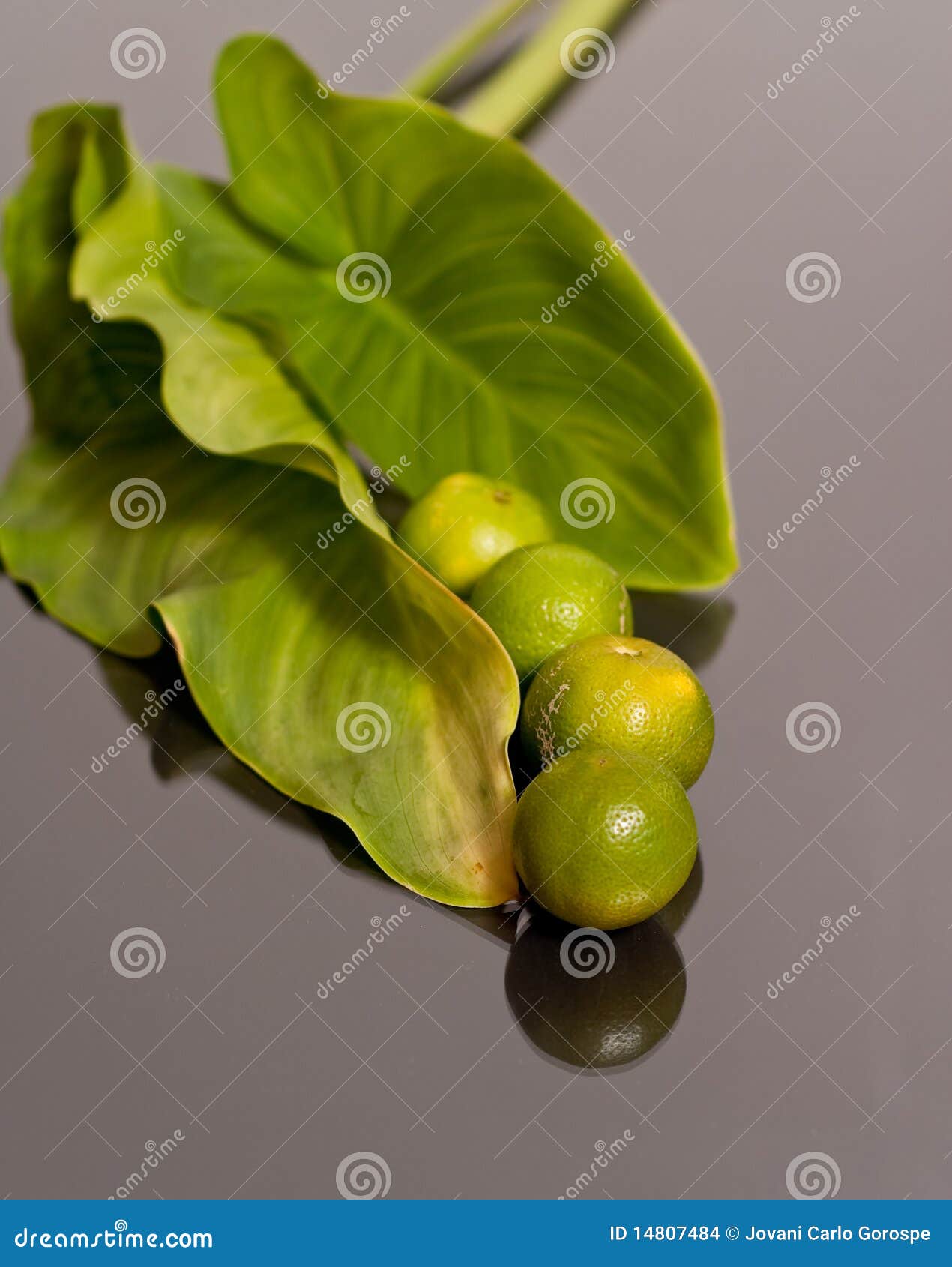 High in Vitamin C stock photo. Image of bright, colorful 14807484