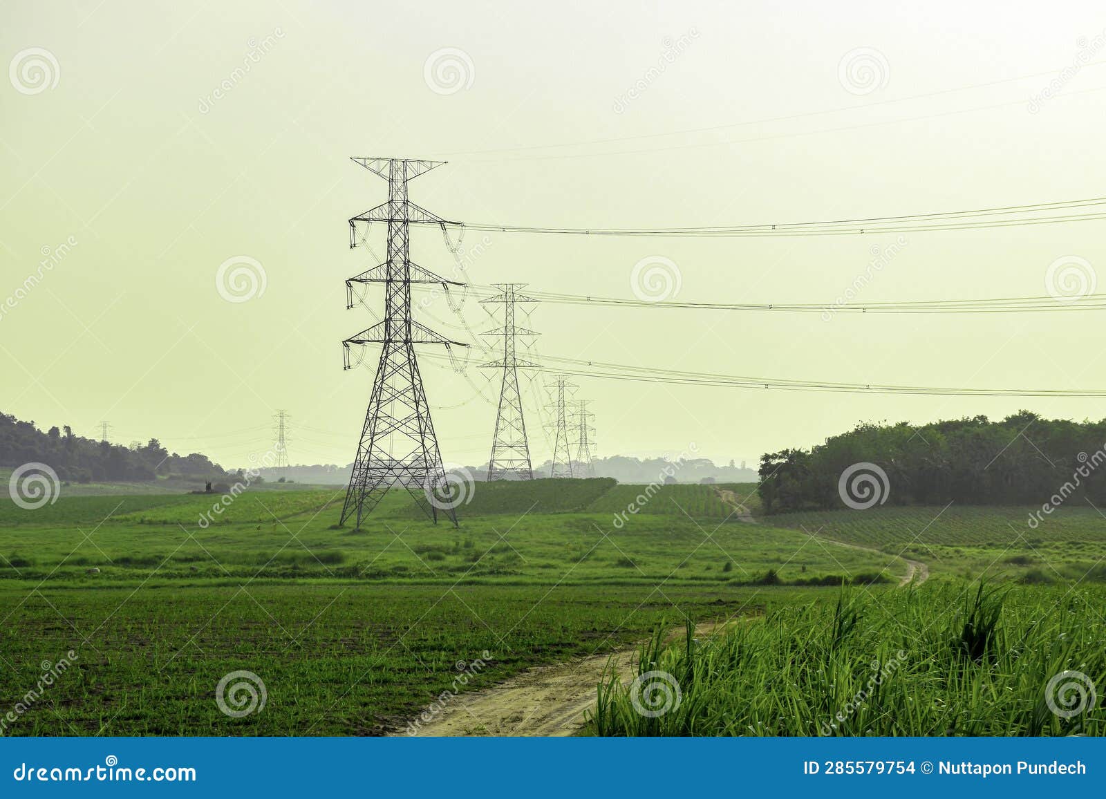 High Voltage Electricity Distribution Pole with Trees Shadow at Sunset