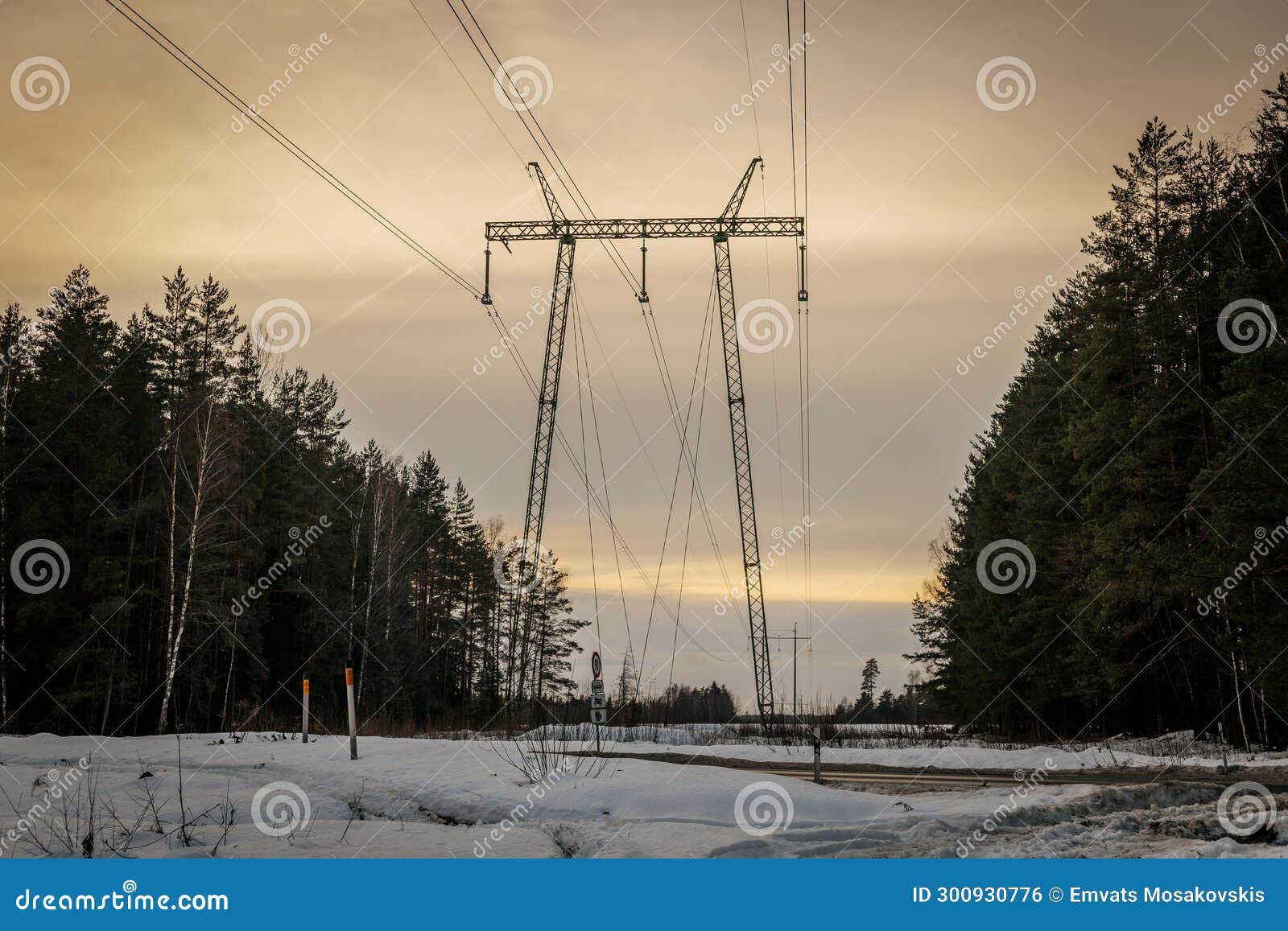 High Voltage Line in Forest Environment. Latvian High Voltage Line with