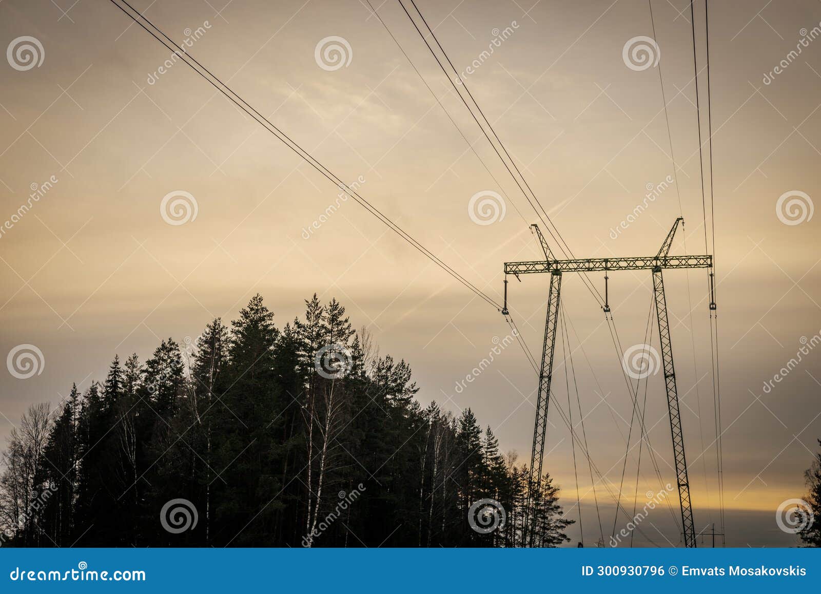 High Voltage Line in Forest Environment. Latvian High Voltage Line with