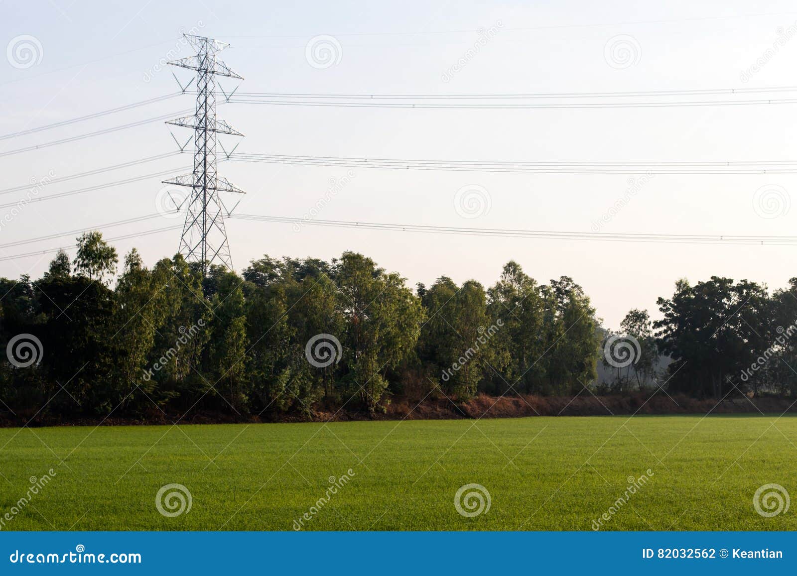 high voltage pole with green rice.