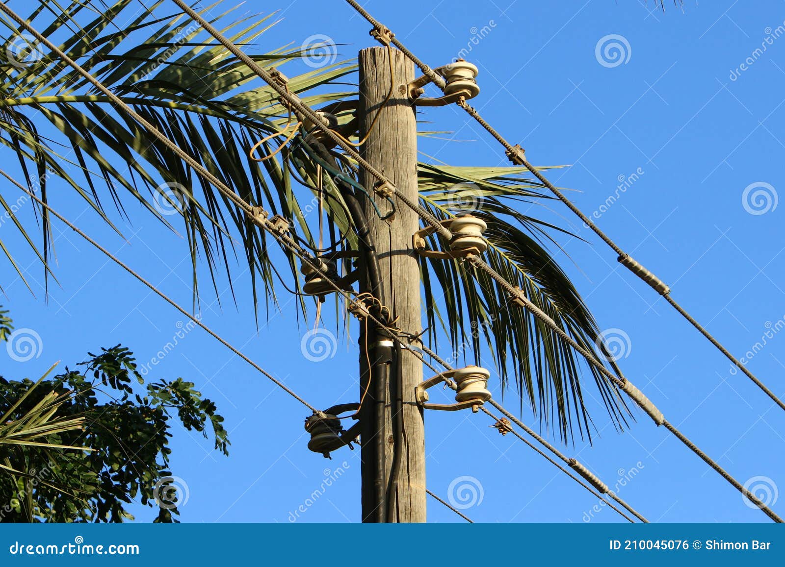 High Voltage Power Lines through Fields and Mountains in Israel Stock