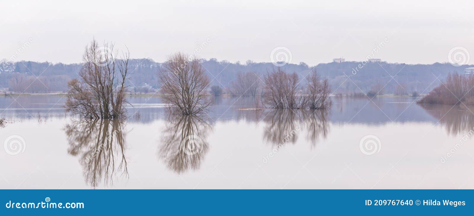 high water floodplains rhine