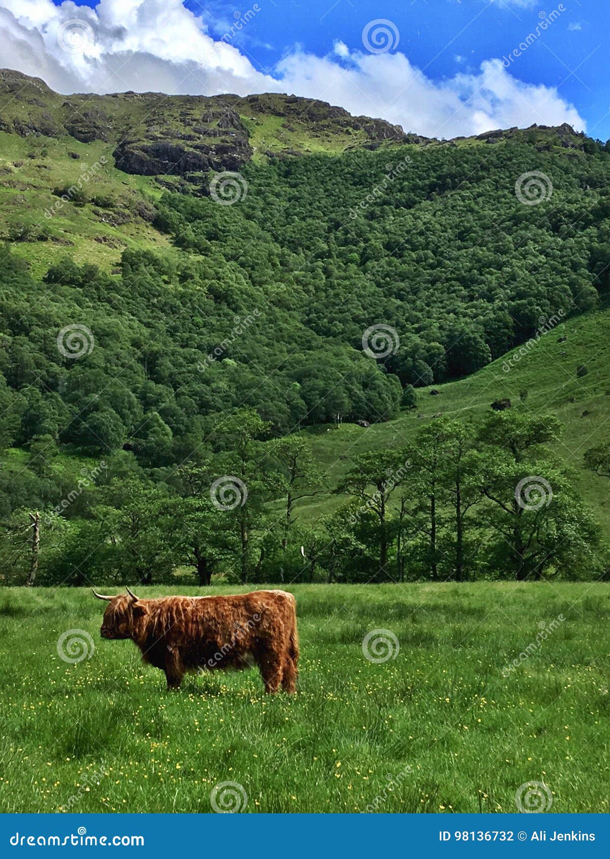 Opracowanie krzywych datofenometrycznych dla szkockiego regionu Highland
