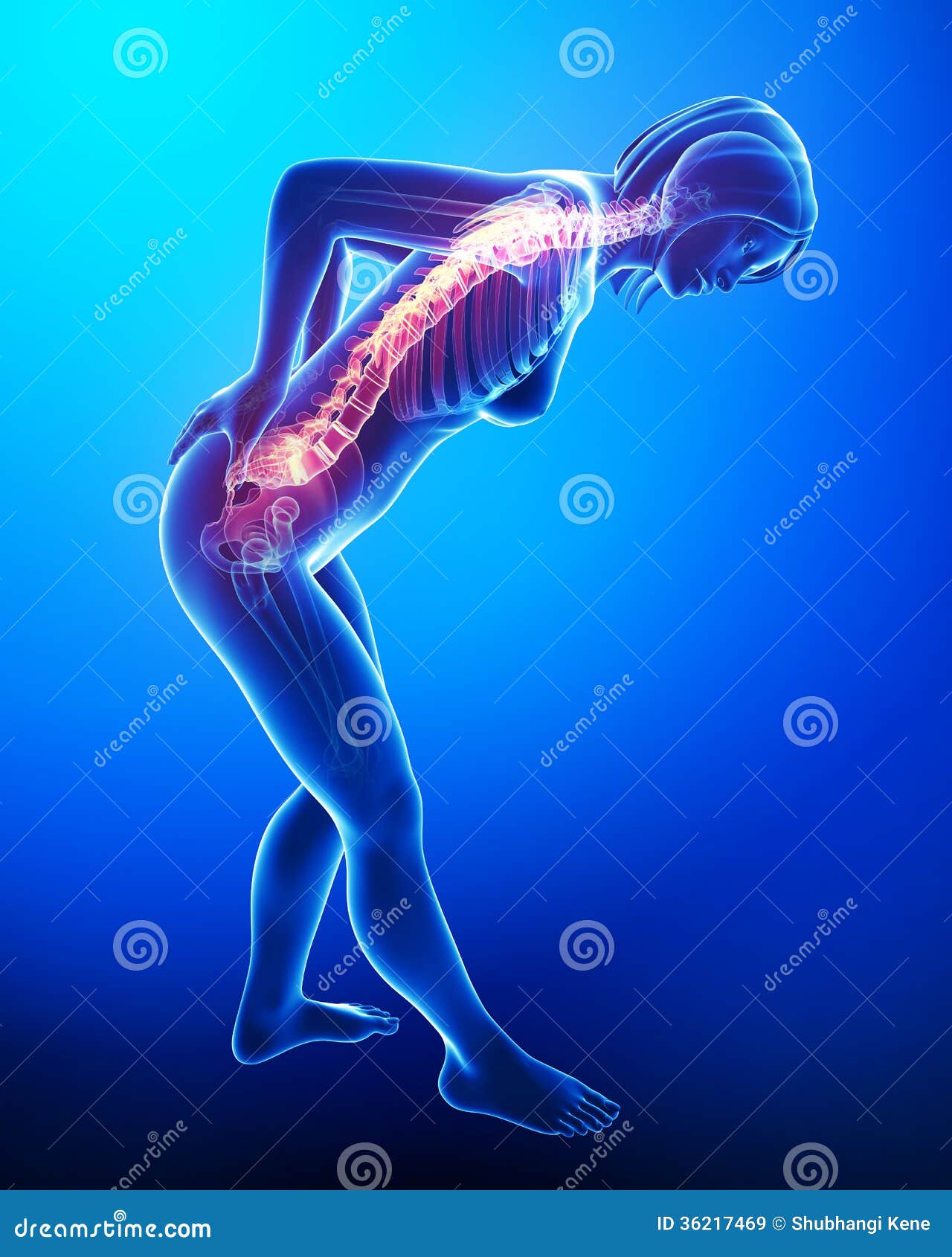 Highlighted Back Muscles RoyaltyFree Cartoon 30721901