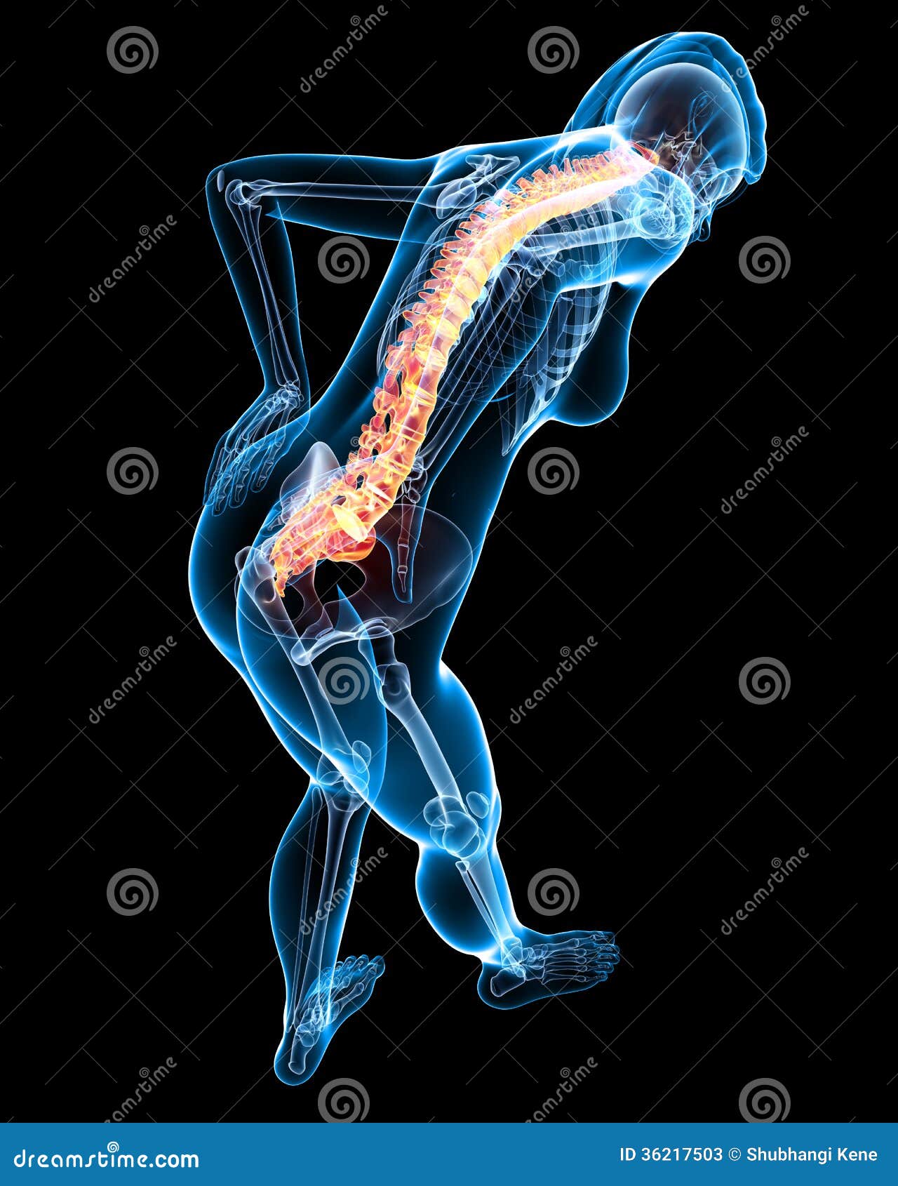 Highlighted Back Muscles RoyaltyFree Cartoon 30721901