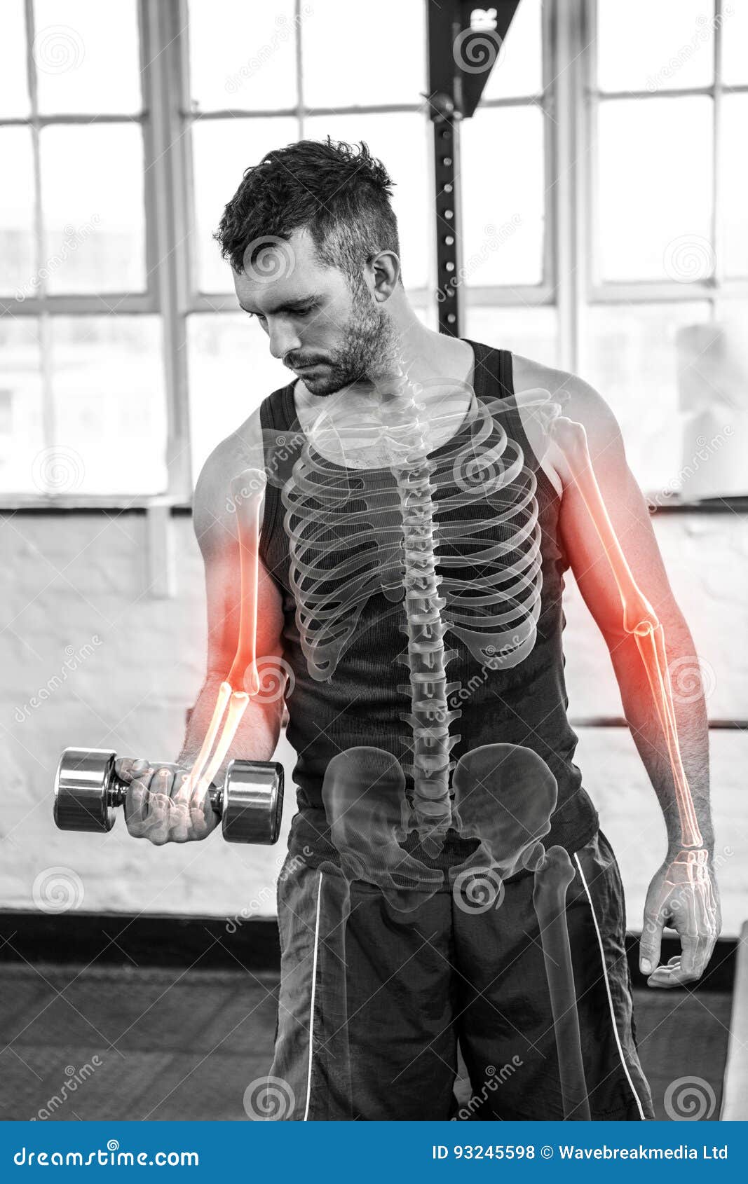 Highlighted Bones of Strong Man Lifting Weights at Gym Stock Photo