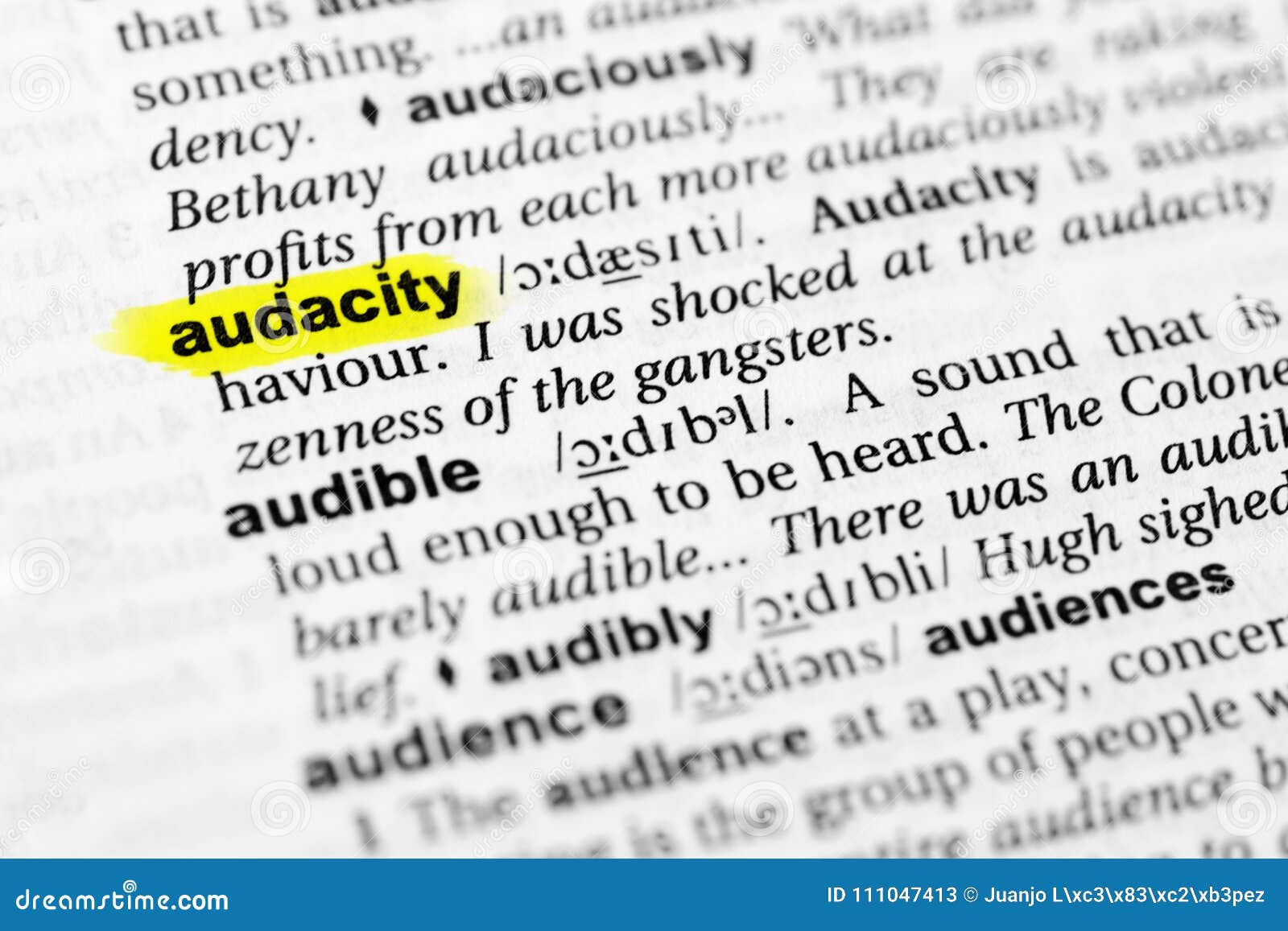 the definition of audacity the definition of audacity