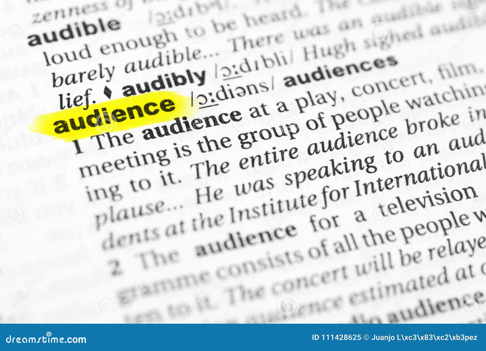 audience unity definition audience unity definition