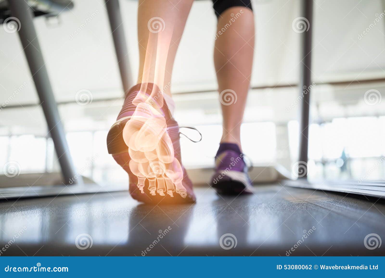 Highlighted Foot Bones of Jogging Woman Stock Photo Image of physical