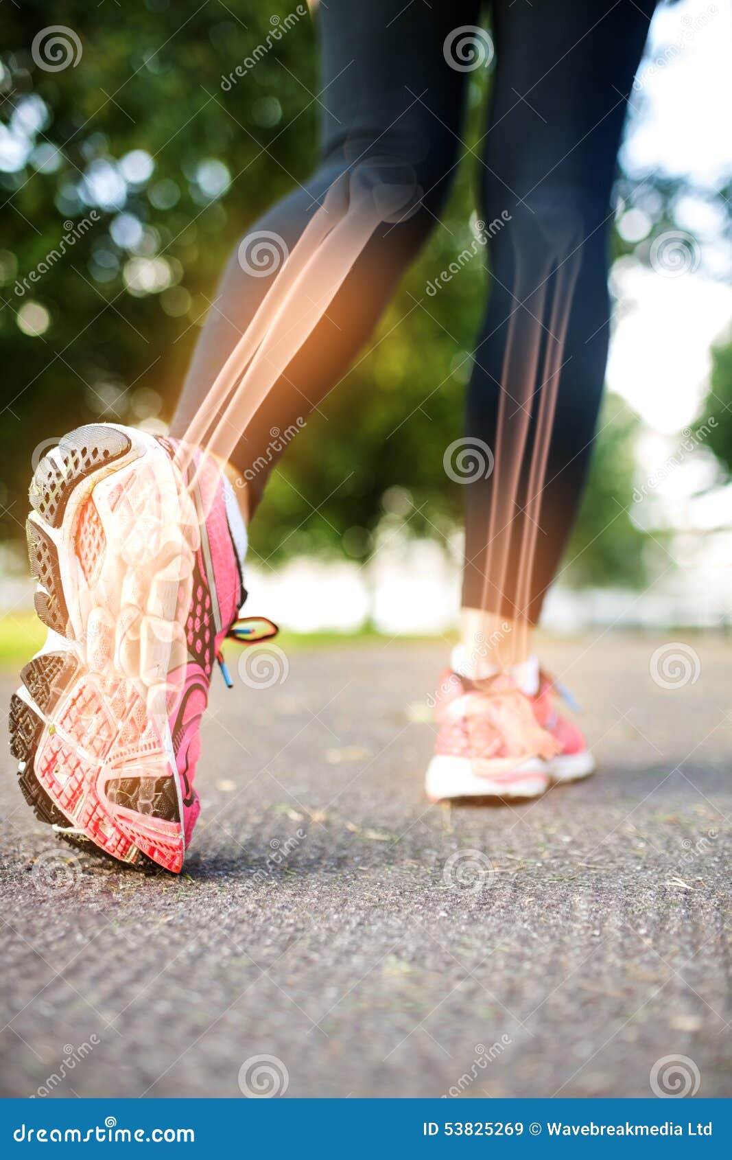Highlighted Foot Bones of Jogging Woman Stock Image Image of health