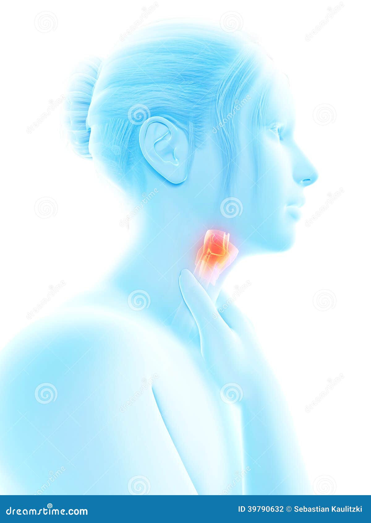 highlighted larynx