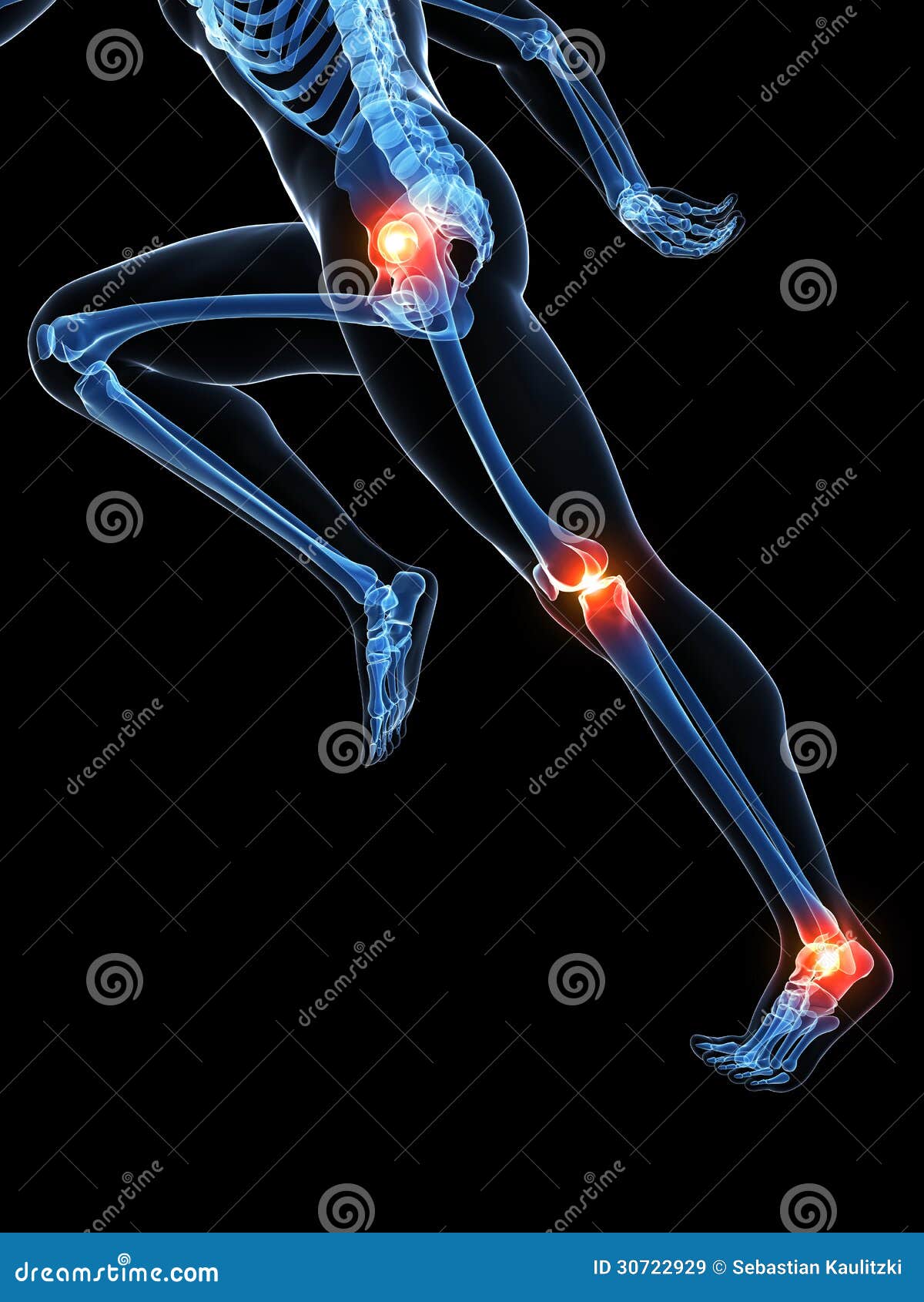 Highlighted runner joints stock illustration. Illustration of anatomy