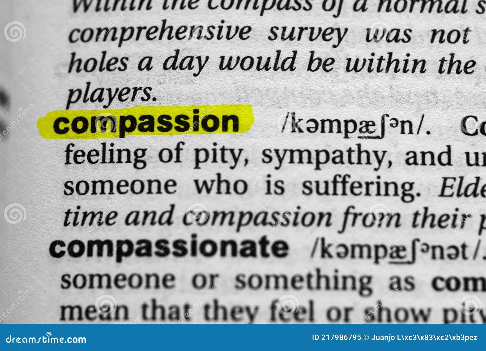 a definition essay defining your understanding of the word compassion