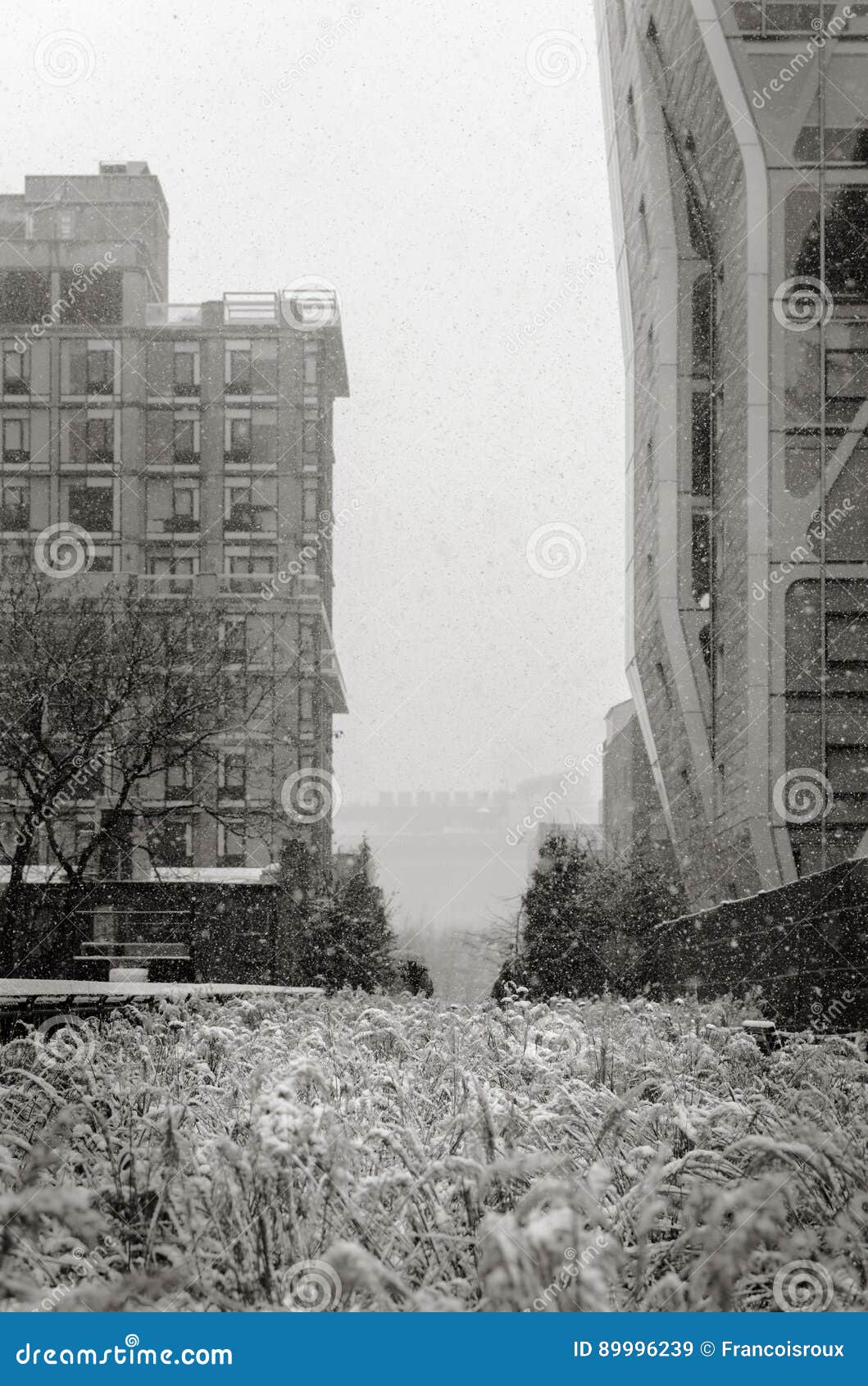 the highline in snowstorm. black & white. new york